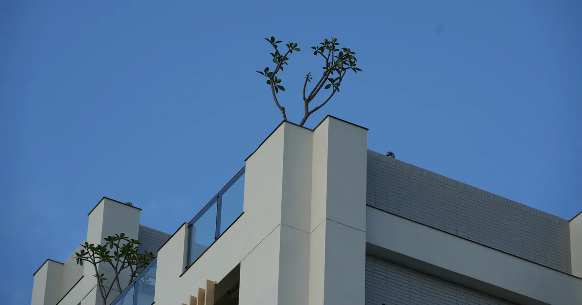 拾壹間頂層天際線